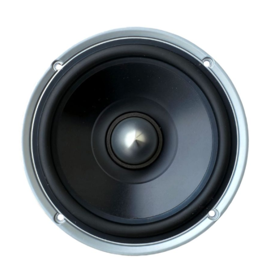 DEGO Master 3000 MW Głośniki średnio-niskotonowe o średnicy 165 mm. Impedancja 4 Ohm. Moc 100W RMS